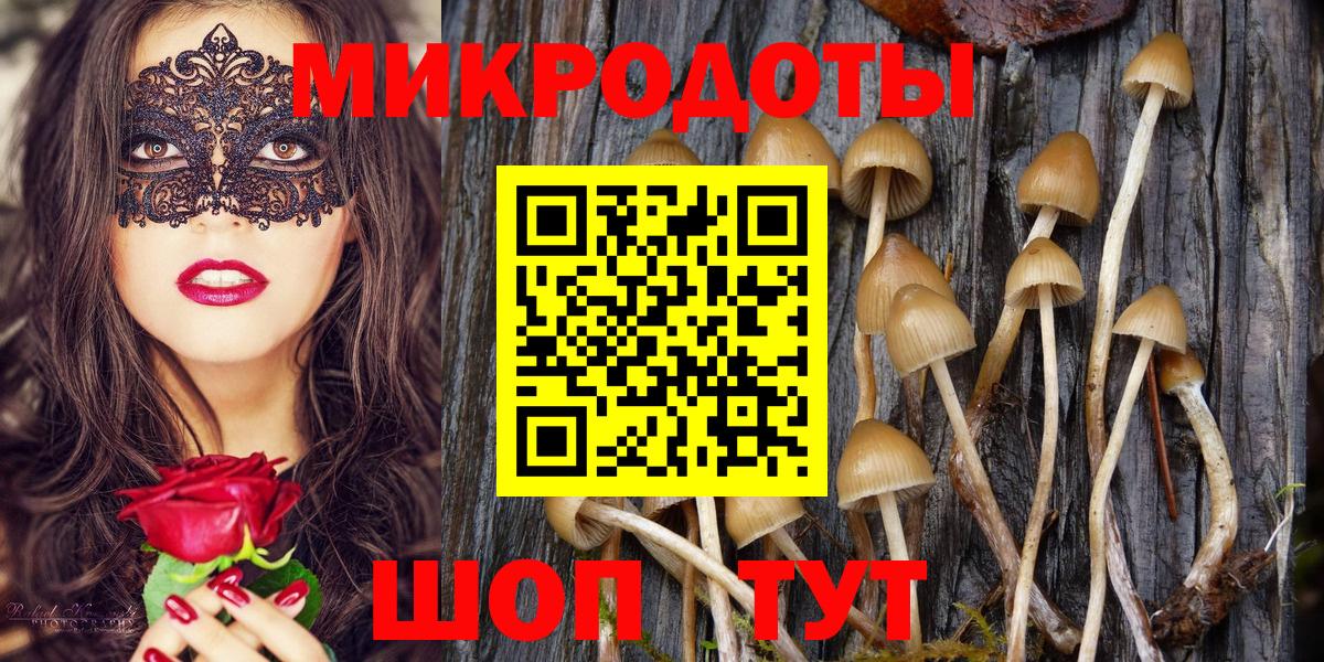 Красноперекопск  Псилоцибиновые грибы Magic Shrooms  Вход с VPN 