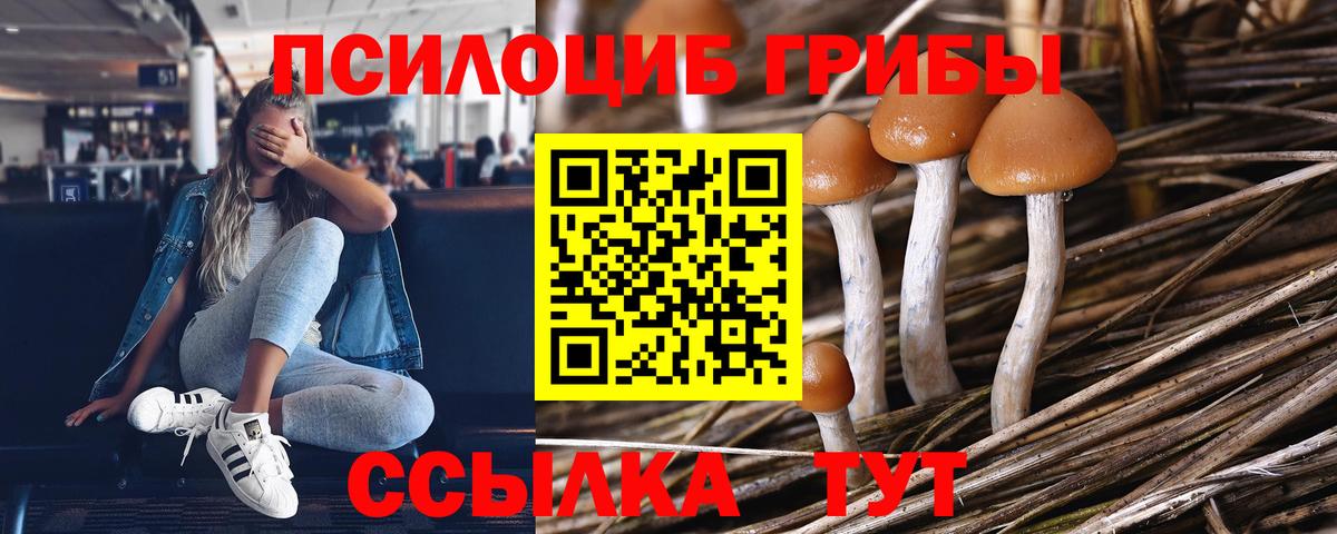 Галлюциногенные грибы GOLDEN TEACHER Красноперекопск